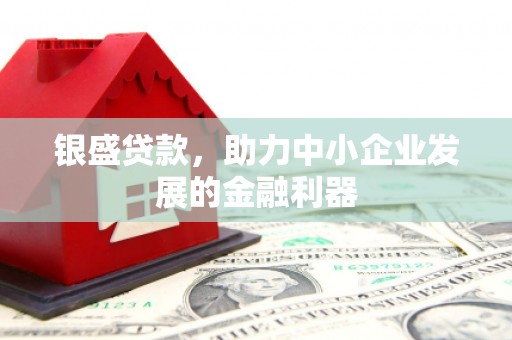 琉球银盛贷款，助力中小企业发展的金融利器