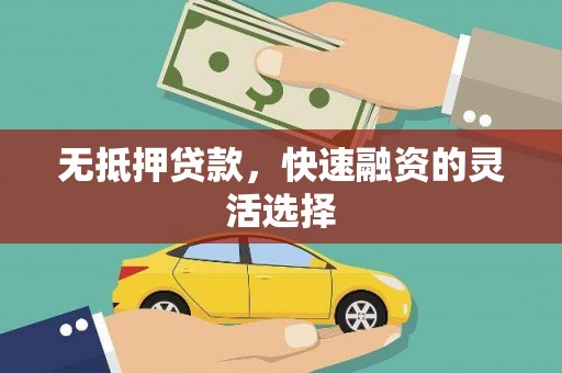 琉球无抵押贷款，快速融资的灵活选择