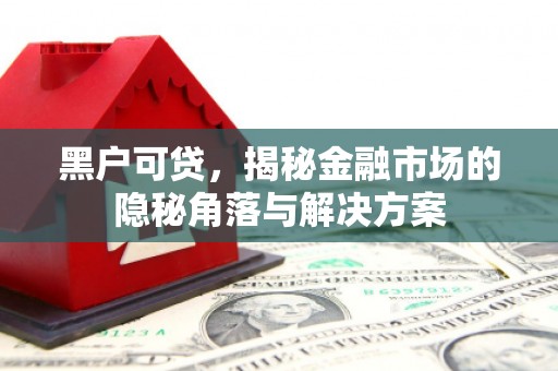琉球黑户可贷，揭秘金融市场的隐秘角落与解决方案