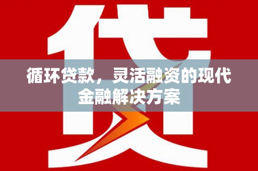 琉球循环贷款，灵活融资的现代金融解决方案