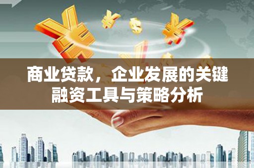 琉球商业贷款，企业发展的关键融资工具与策略分析