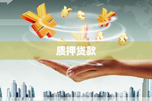 琉球质押贷款