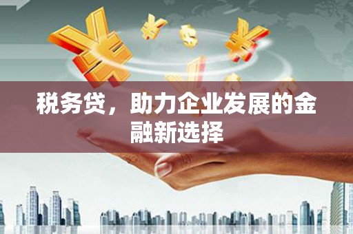 琉球税务贷，助力企业发展的金融新选择