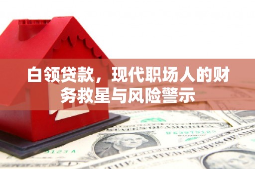 琉球白领贷款，现代职场人的财务救星与风险警示