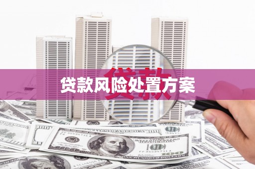 琉球贷款风险处置方案