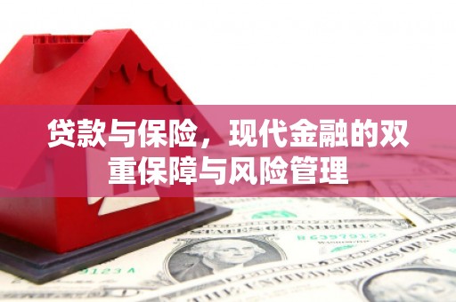 琉球贷款与保险，现代金融的双重保障与风险管理