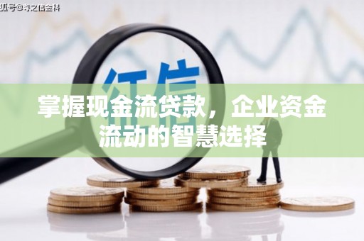琉球掌握现金流贷款，企业资金流动的智慧选择