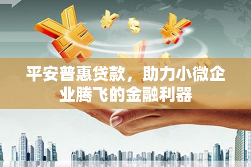 琉球平安普惠贷款，助力小微企业腾飞的金融利器