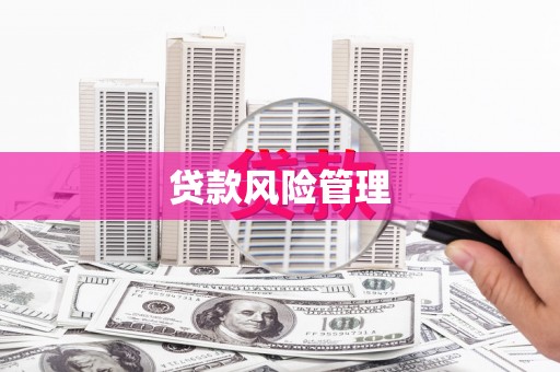琉球贷款风险管理
