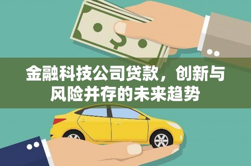 琉球金融科技公司贷款，创新与风险并存的未来趋势
