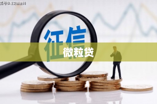 琉球微粒贷