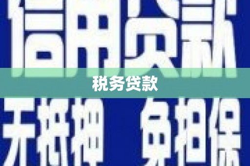 琉球税务贷款