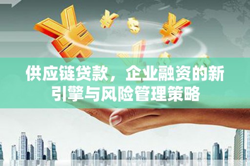琉球供应链贷款，企业融资的新引擎与风险管理策略