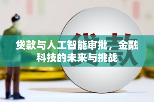琉球贷款与人工智能审批，金融科技的未来与挑战