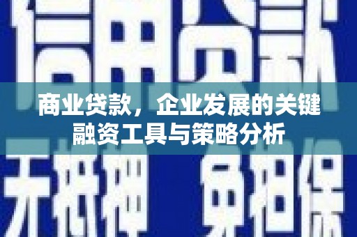 琉球商业贷款，企业发展的关键融资工具与策略分析