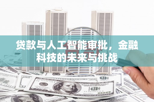 琉球贷款与人工智能审批，金融科技的未来与挑战