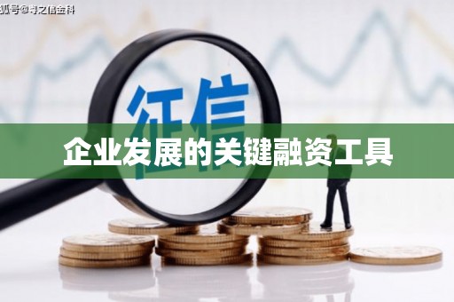 琉球企业发展的关键融资工具