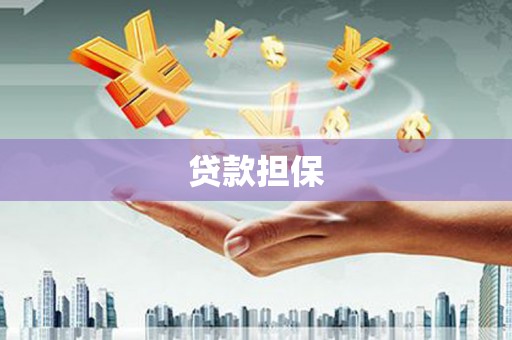 琉球贷款担保
