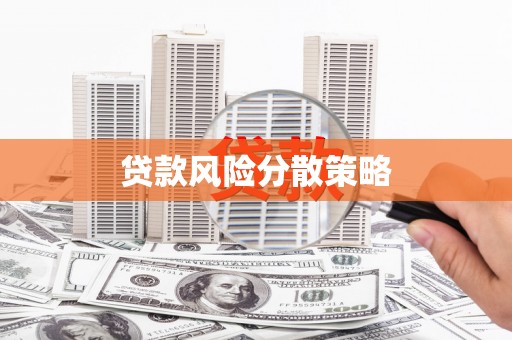琉球贷款风险分散策略