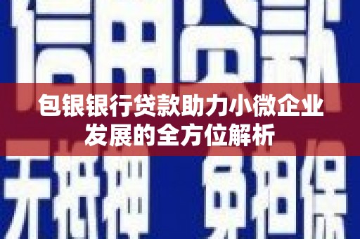 琉球包银银行贷款助力小微企业发展的全方位解析