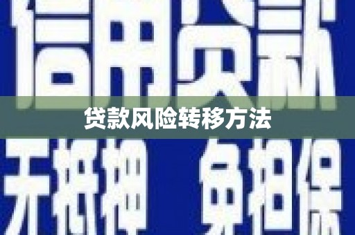 琉球贷款风险转移方法