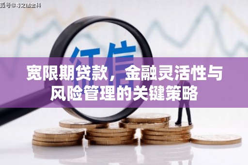 琉球宽限期贷款，金融灵活性与风险管理的关键策略
