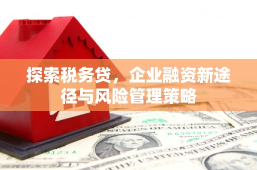 琉球探索税务贷，企业融资新途径与风险管理策略