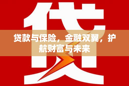 琉球贷款与保险，金融双翼，护航财富与未来