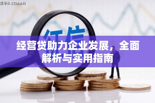 琉球经营贷助力企业发展，全面解析与实用指南