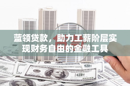 琉球蓝领贷款，助力工薪阶层实现财务自由的金融工具