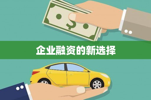 琉球企业融资的新选择