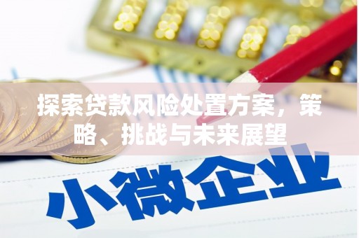 琉球探索贷款风险处置方案，策略、挑战与未来展望