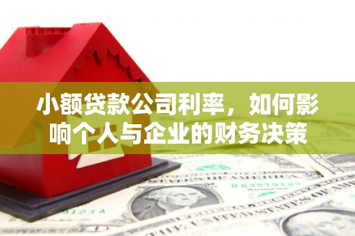 琉球小额贷款公司利率，如何影响个人与企业的财务决策