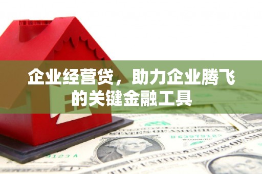 琉球企业经营贷，助力企业腾飞的关键金融工具