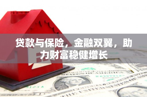 琉球贷款与保险，金融双翼，助力财富稳健增长