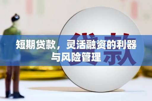 琉球短期贷款，灵活融资的利器与风险管理