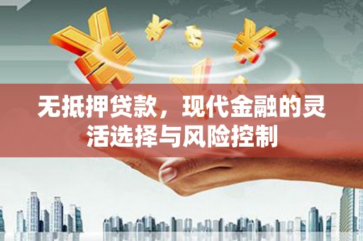 琉球无抵押贷款，现代金融的灵活选择与风险控制
