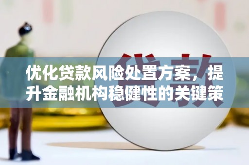 琉球优化贷款风险处置方案，提升金融机构稳健性的关键策略