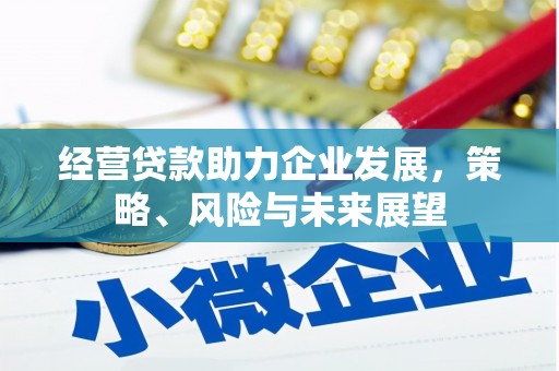 琉球经营贷款助力企业发展，策略、风险与未来展望