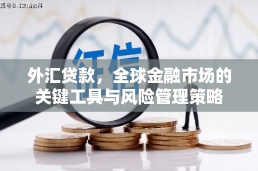 琉球外汇贷款，全球金融市场的关键工具与风险管理策略