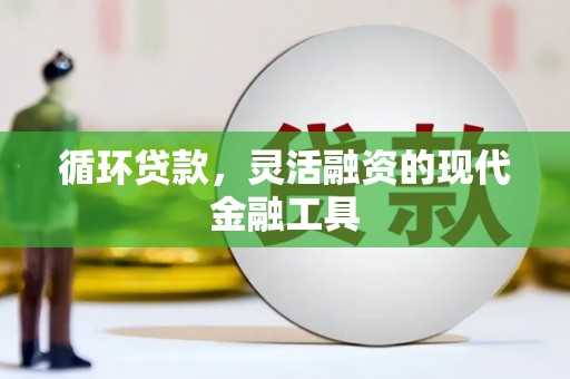 琉球循环贷款，灵活融资的现代金融工具