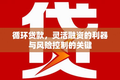 琉球循环贷款，灵活融资的利器与风险控制的关键
