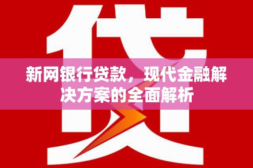 琉球新网银行贷款，现代金融解决方案的全面解析