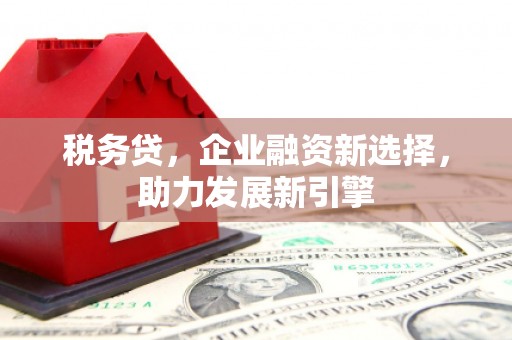 琉球税务贷，企业融资新选择，助力发展新引擎