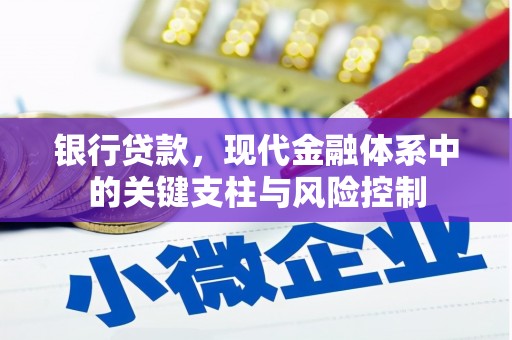 琉球银行贷款，现代金融体系中的关键支柱与风险控制