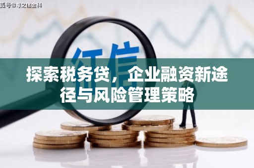 琉球探索税务贷，企业融资新途径与风险管理策略