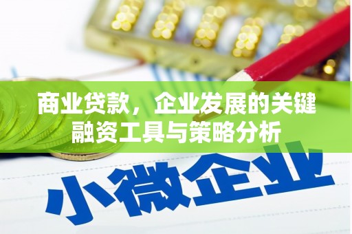 琉球商业贷款，企业发展的关键融资工具与策略分析