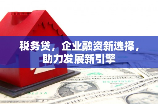 琉球税务贷，企业融资新选择，助力发展新引擎