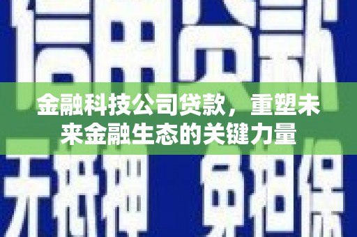 琉球金融科技公司贷款，重塑未来金融生态的关键力量