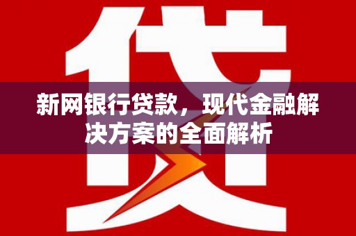 琉球新网银行贷款，现代金融解决方案的全面解析